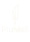 PluMail – Forum d’entraide